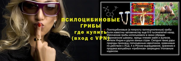 дживик Кинешма