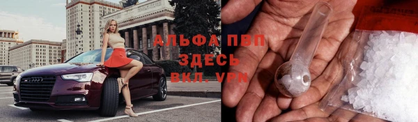 дживик Кинешма