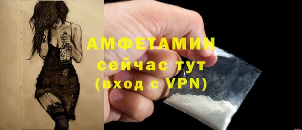 дживик Кинешма