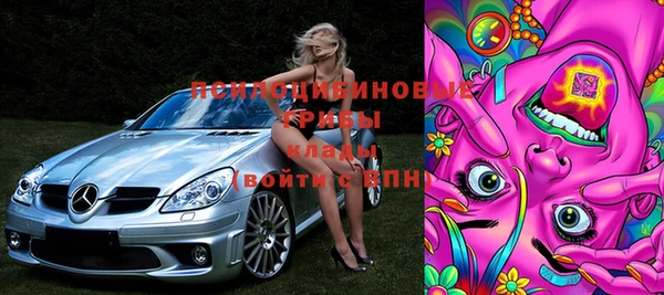 дживик Кинешма