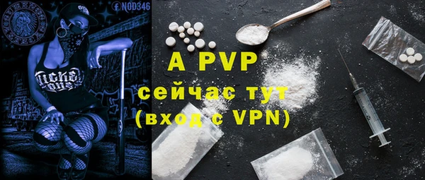 дживик Кинешма
