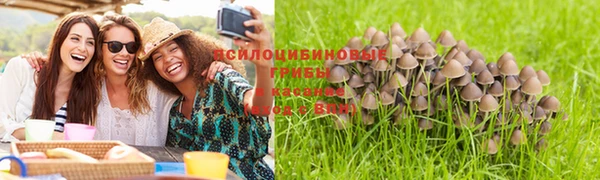 дживик Кинешма