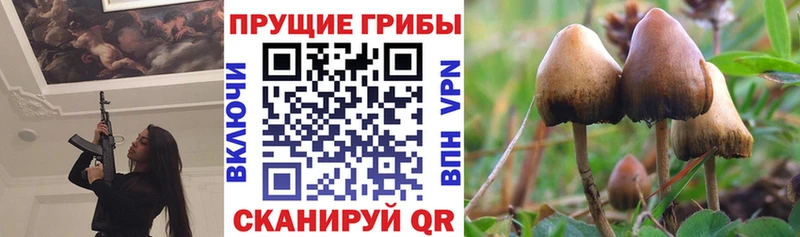 Галлюциногенные грибы MAGIC MUSHROOMS Купить Спасск-Рязанский